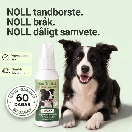 Lavea™ Tandspray – Eliminerar bakterierna som orsakar tandsten och dålig andedräkt hos hundar