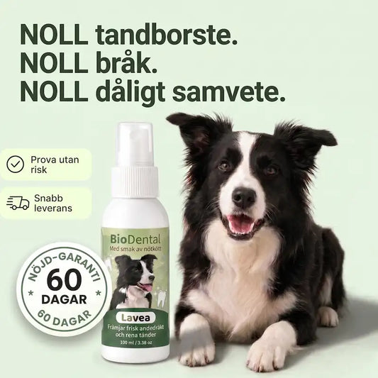 Lavea™ Tandspray – Eliminerar bakterierna som orsakar tandsten och dålig andedräkt hos hundar