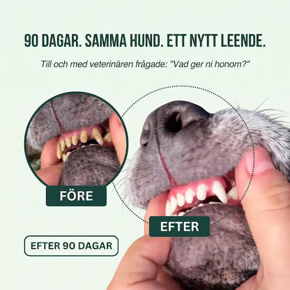 Lavea™ Tandspray – Eliminerar bakterierna som orsakar tandsten och dålig andedräkt hos hundar
