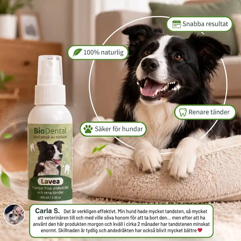 Lavea™ Tandspray – Eliminerar bakterierna som orsakar tandsten och dålig andedräkt hos hundar