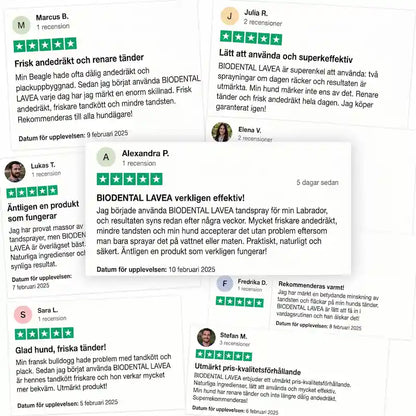 Lavea™ Tandspray – Eliminerar bakterierna som orsakar tandsten och dålig andedräkt hos hundar