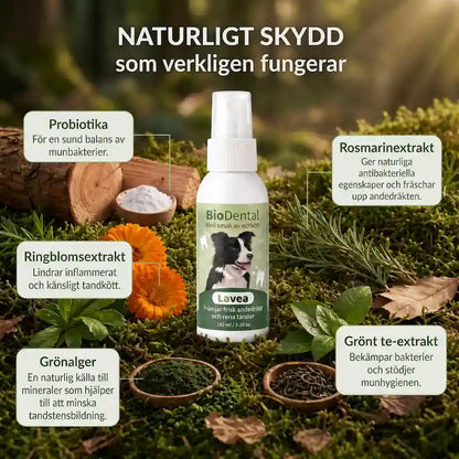 Lavea™ Tandspray – Eliminerar bakterierna som orsakar tandsten och dålig andedräkt hos hundar